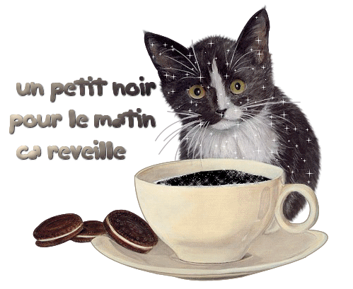 un petit cafée noir