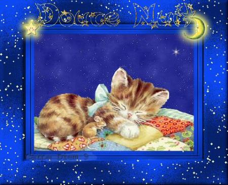 bonne nuit